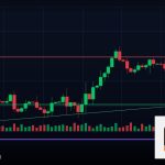 Forex STP Account บัญชีเอสทีพี 2569