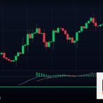 Forex Order Block โซนคำสั่งซื้อขายรายใหญ่ 2569