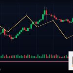 Forex Expert Advisor EA รอบอตเทรด 2569