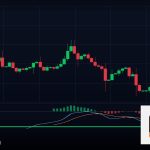 Forex Grid Trading เทรดแบบตาราง ยังไง 2569
