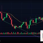 Forex Harmonic Pattern Bat Crab Shark