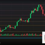 Forex EA Expert Advisor ระบบเทรดอัตโนมัติ 2569