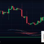 Forex เทรดกราฟ D1 รายวัน ทำกำไรยังไง 2569