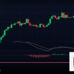 Forex Crypto Wallet กระเป๋าเงินดิจิทัล 2569