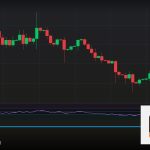 Forex Diversification กระจายความเสี่ยงพอร์ต 2569