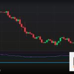 Forex Bitcoin Halving บิตคอยน์ฮาลฟ์วิ่ง 2569