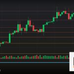 Forex OCO Order One Cancels Other คำสั่งคู่ 2569