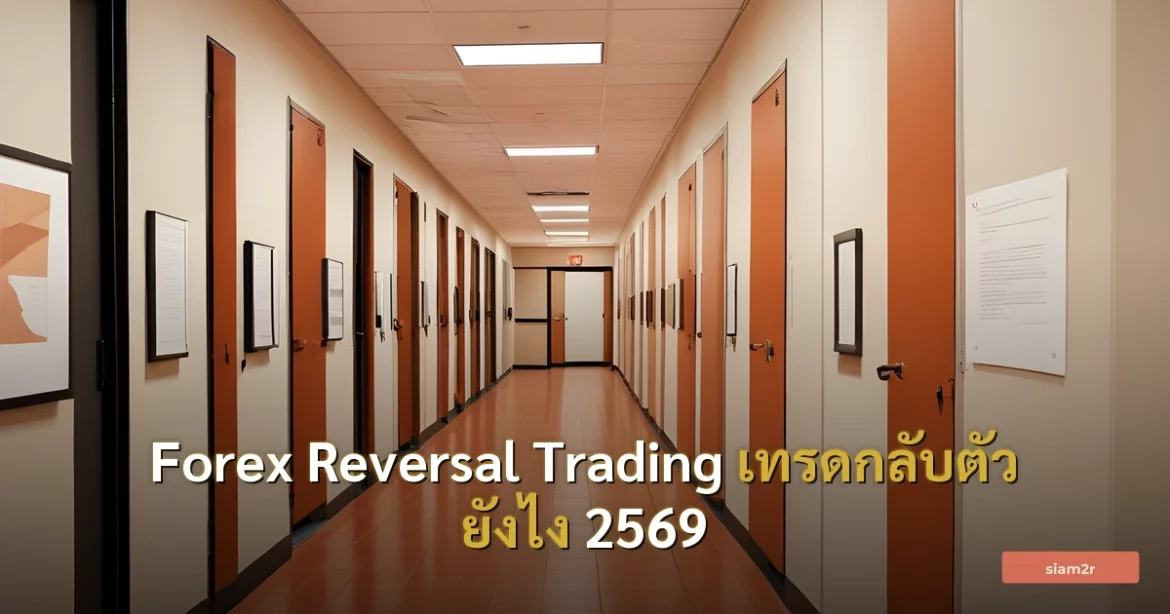 ภาพประกอบสำหรับบทความForex Reversal Trading เทรดกลับตัว ยังไง 2569