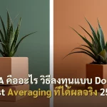 DCA คืออะไร วิธีลงทุนแบบ Dollar Cost Averaging ที่ได้ผลจริง 2568