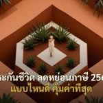 ประกันชีวิต ลดหย่อนภาษี 2568 แบบไหนดี คุ้มค่าที่สุด