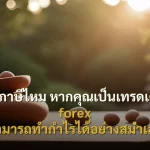 เสียภาษีไหม หากคุณเป็นเทรดเดอร์ forex ที่สามารถทำกำไรได้อย่างสม่ำเสมอ