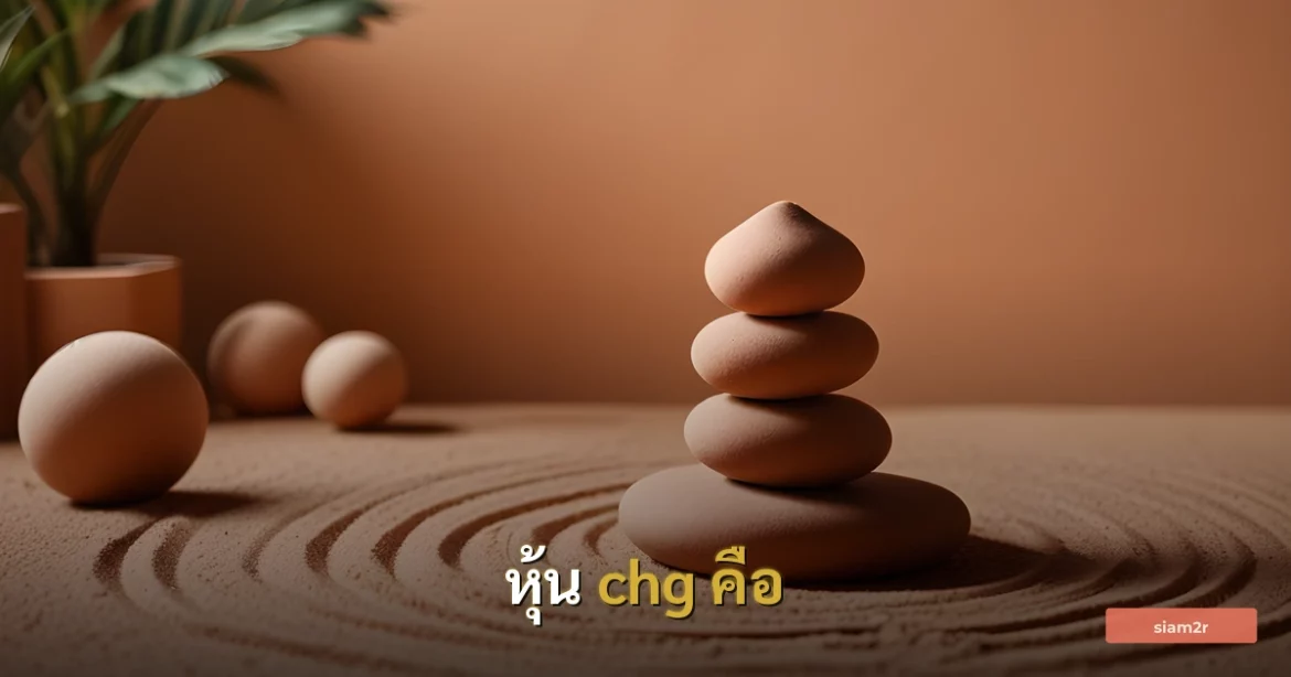 ภาพประกอบสำหรับบทความหุ้น chg คือ