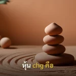 หุ้น chg คือ
