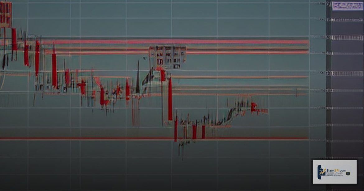 ZuluTrade vs eToro Copy Trading เลือกแพลตฟอร์มไหน