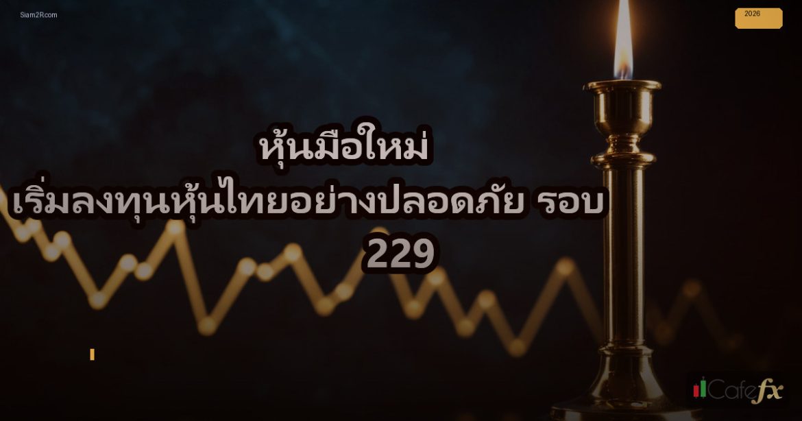 หุ้นมือใหม่ เริ่มลงทุนหุ้นไทยอย่างปลอดภัย รอบ 229