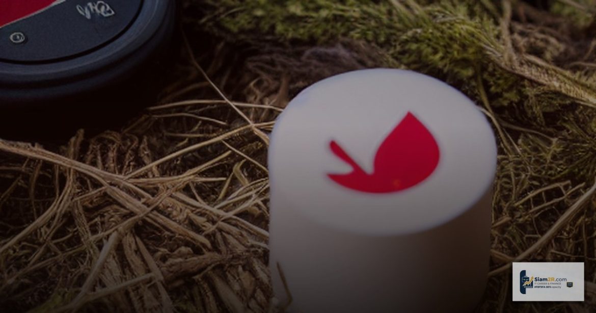 Stop Loss คืออะไร วิธีตั้ง SL ไม่โดนกวาด Forex