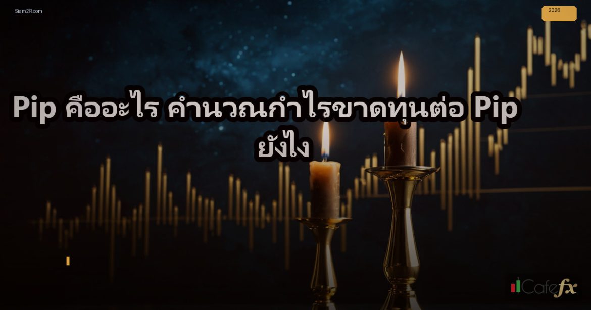 Pip คืออะไร คำนวณกำไรขาดทุนต่อ Pip ยังไง